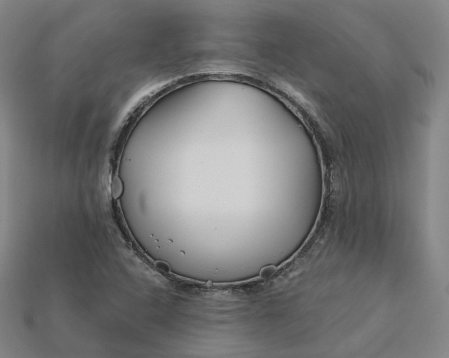 X0000115241408200911131654