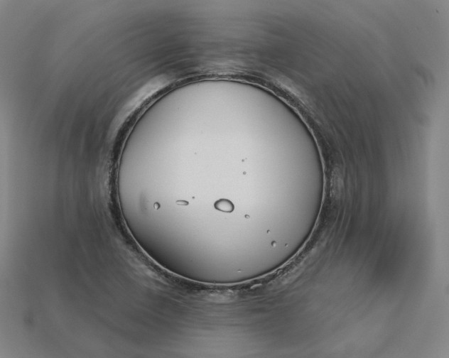 X0000115241410200911131654