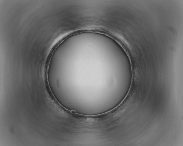X0000115241412200911131654