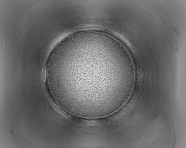 X0000115241413200911131654