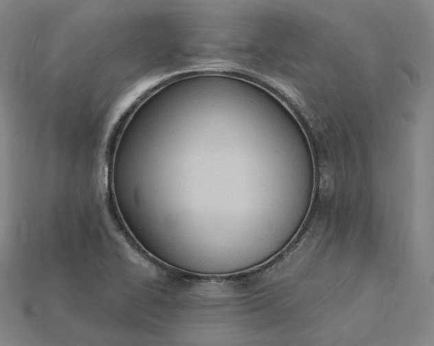X0000115241414200911131654