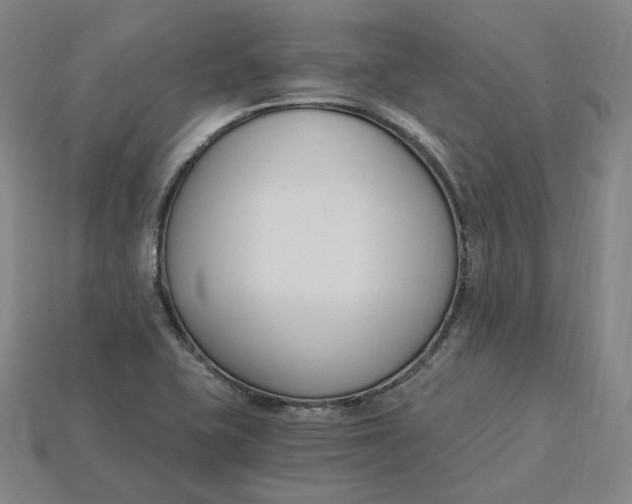 X0000115241415200911131654