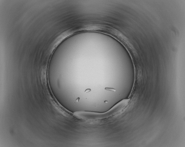 X0000115241417200911131655