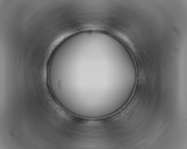 X0000115241419200911131655