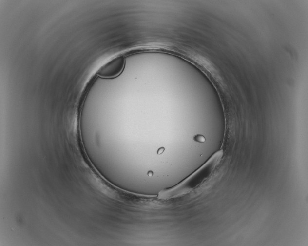 X0000115241420200911131655