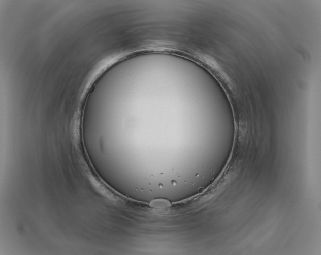 X0000115241421200911131655