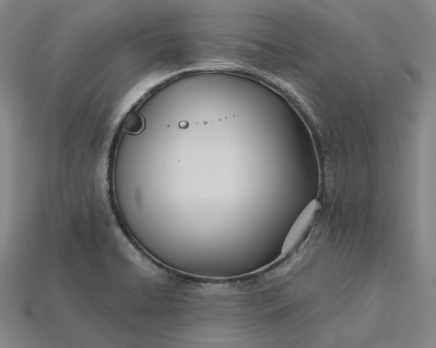 X0000115241422200911131655