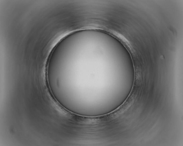 X0000115241423200911131655
