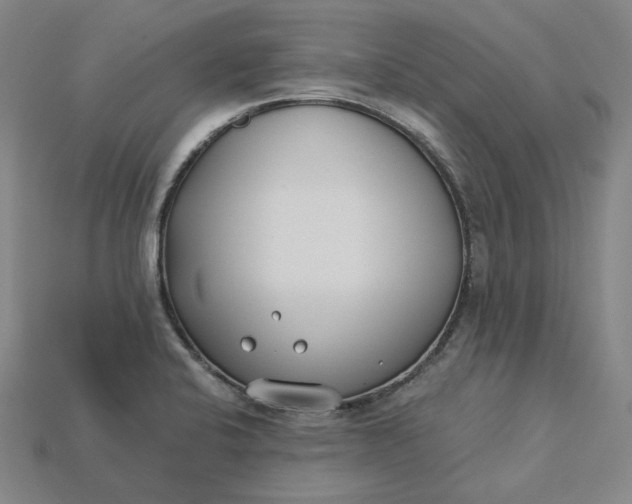 X0000115241424200911131655