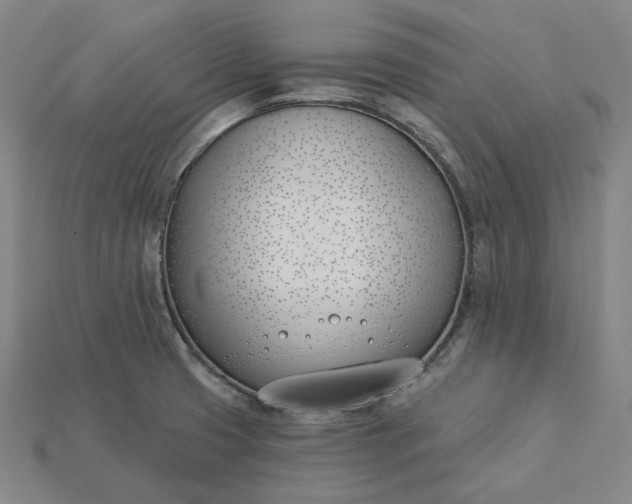 X0000115241425200911131655