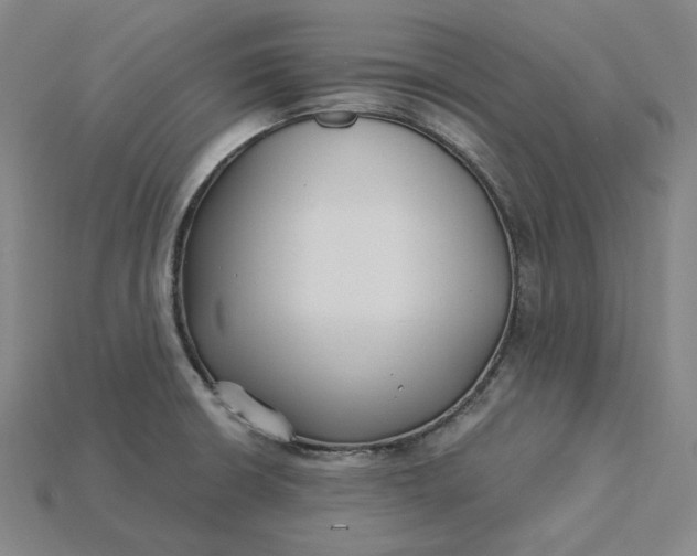 X0000115241426200911131655