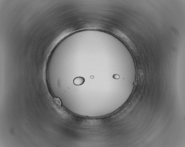 X0000115241427200911131655
