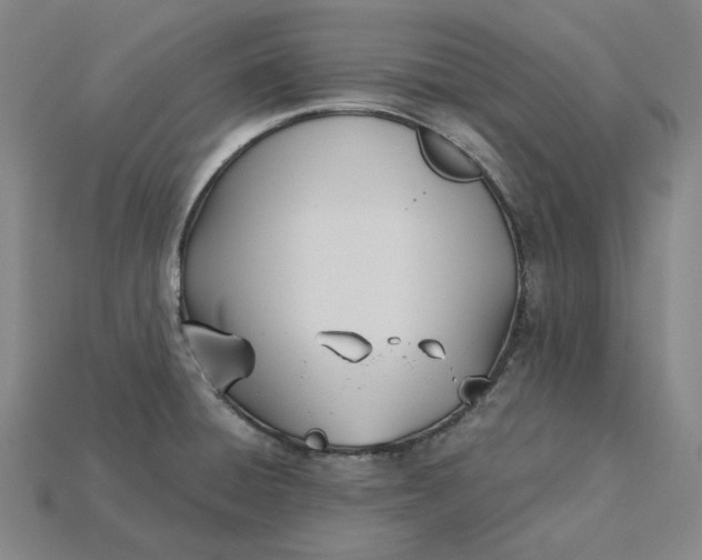 X0000115241428200911131655