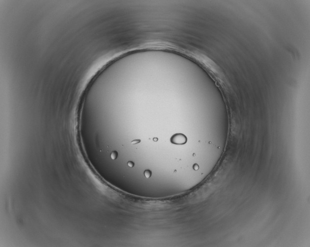 X0000115241430200911131655