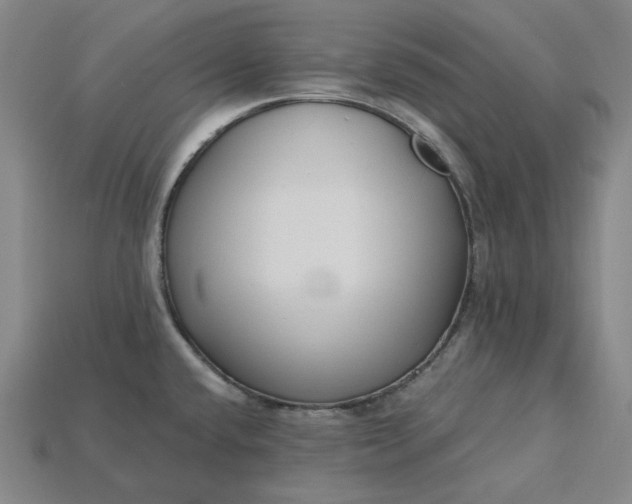 X0000115241432200911131655