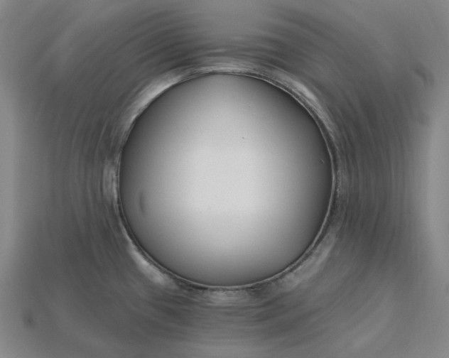 X0000115241433200911131655