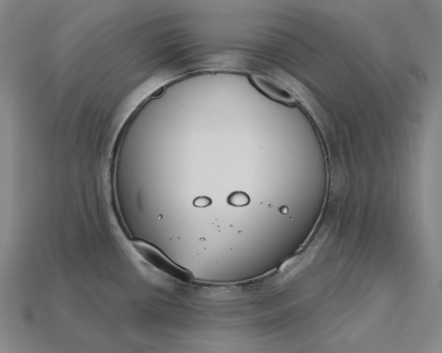 X0000115241434200911131655