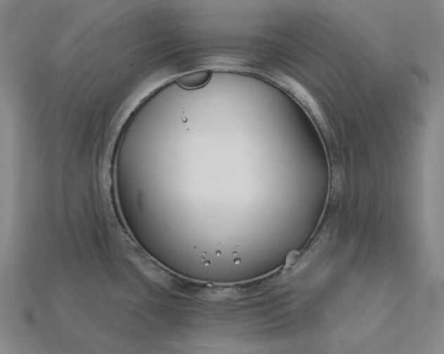 X0000115241435200911131655