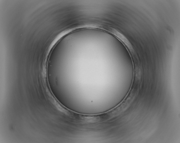 X0000115241436200911131655