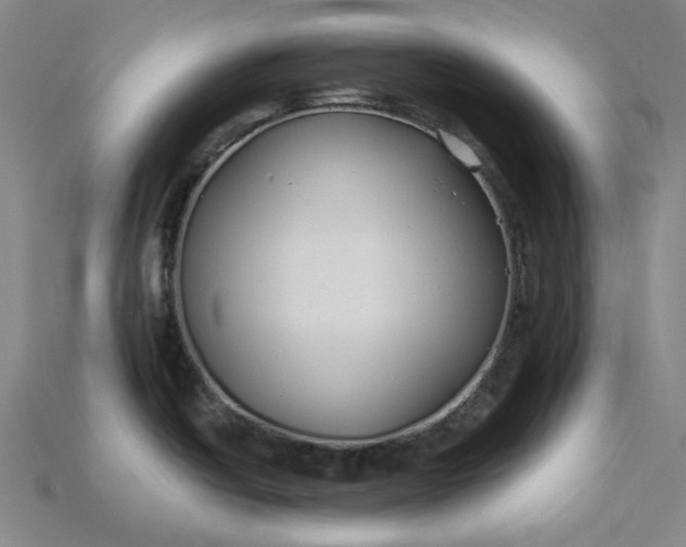 X0000115241438200911131655