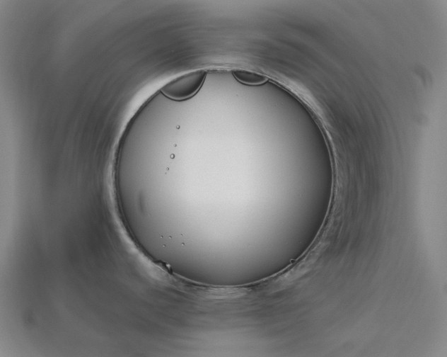 X0000115241440200911131655