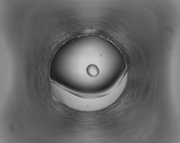 X0000115241441200911131654