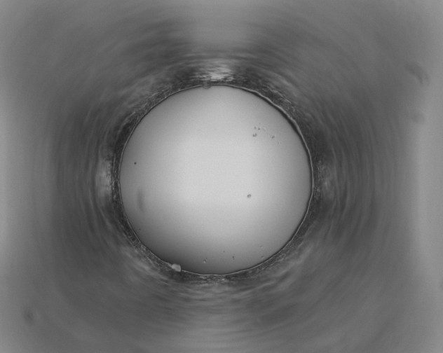 X0000115241442200911131654
