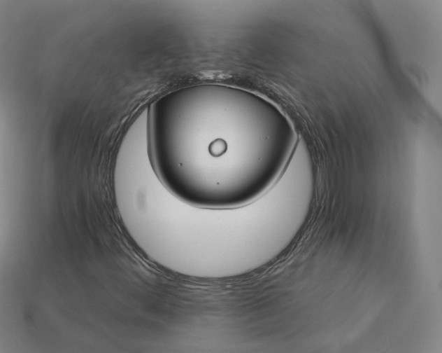 X0000115241444200911131654
