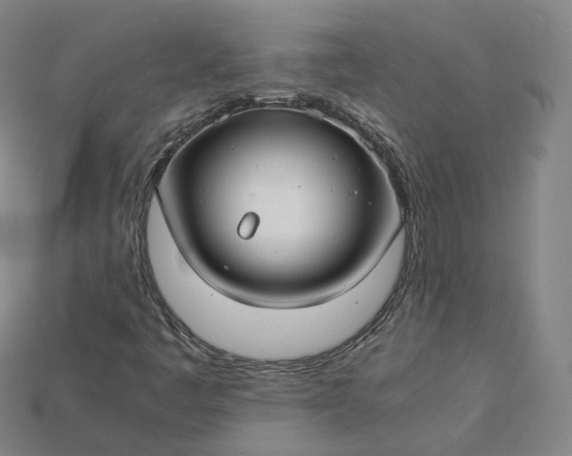X0000115241445200911131654