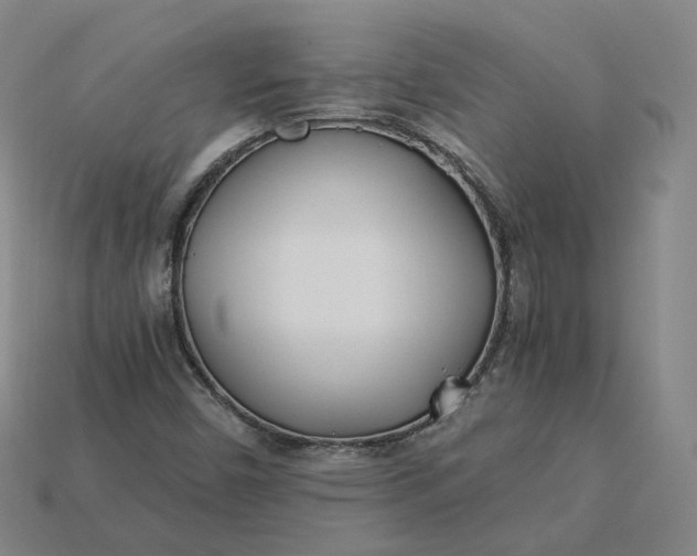 X0000115241450200911131654