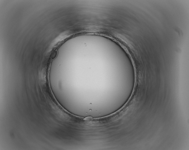 X0000115241451200911131654