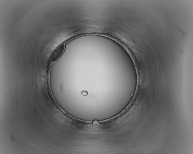 X0000115241453200911131654