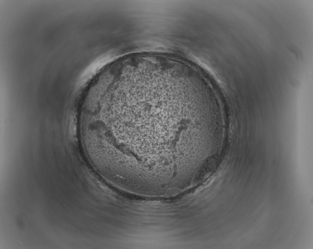 X0000115241455200911131654