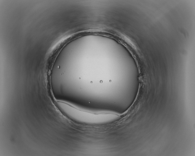 X0000115241456200911131654