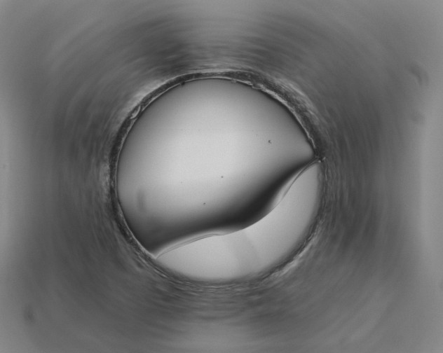 X0000115241457200911131654
