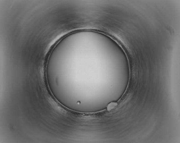 X0000115241460200911131654