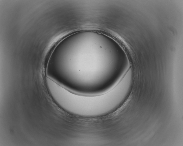 X0000115241461200911131654