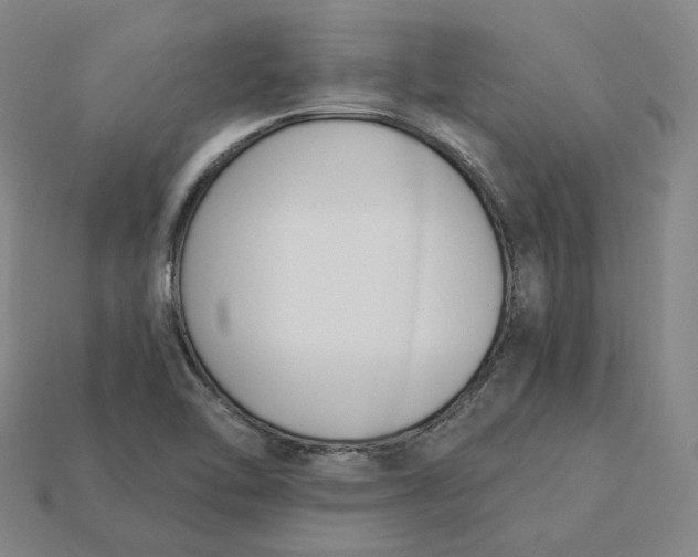 X0000115241462200911131654