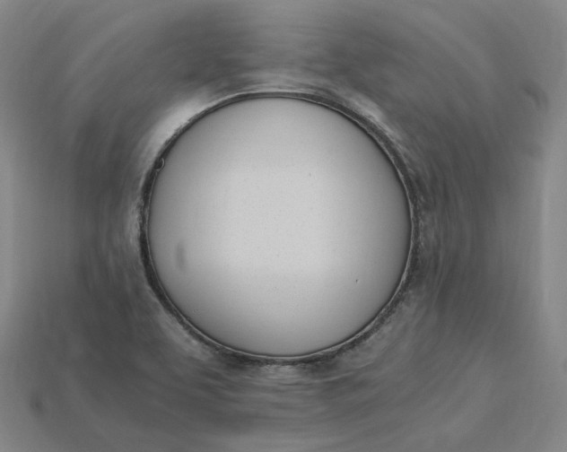 X0000115241463200911131654
