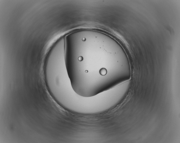 X0000115241464200911131654