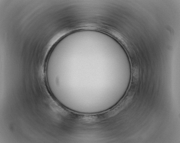 X0000115241466200911131654