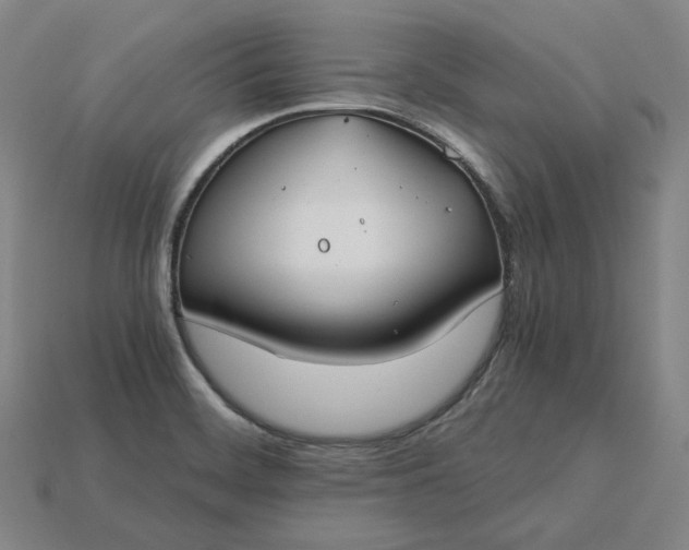X0000115241468200911131654
