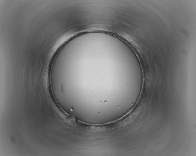 X0000115241469200911131654