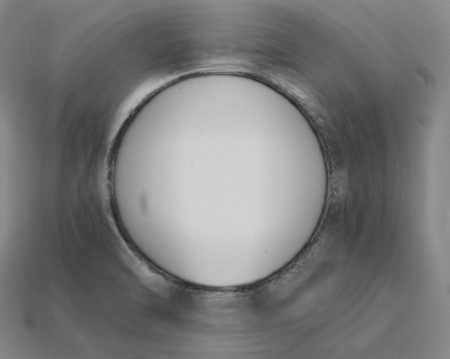 X0000115241470200911131654
