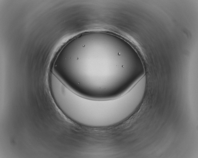 X0000115241472200911131654