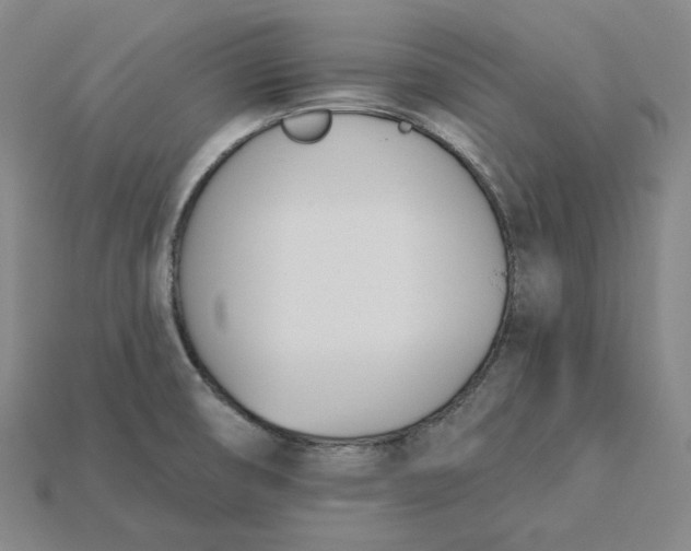 X0000115241474200911131654