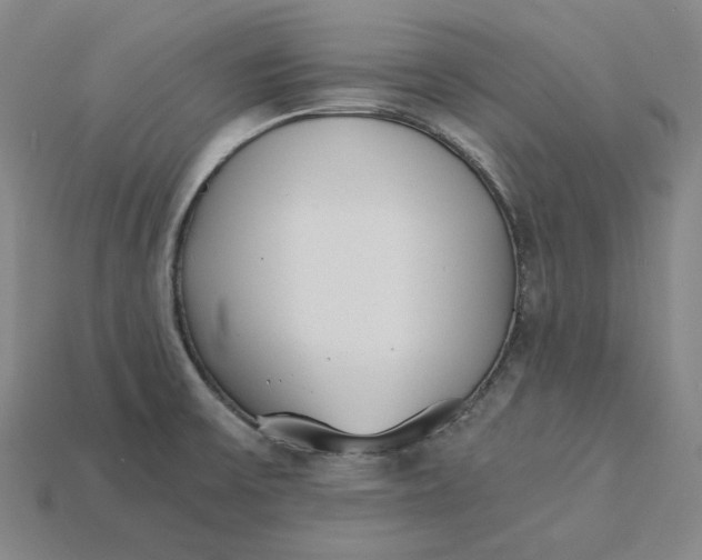 X0000115241475200911131654