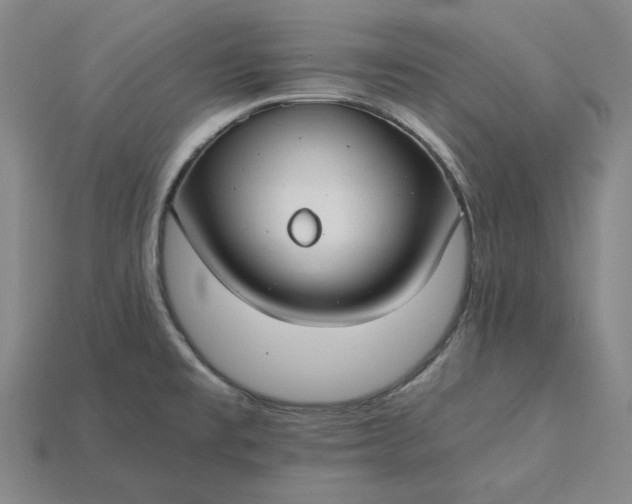 X0000115241477200911131654