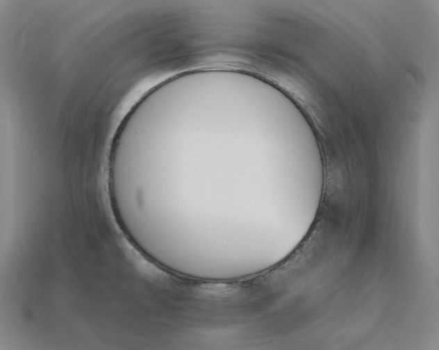 X0000115241478200911131654