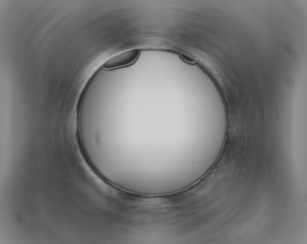 X0000115241479200911131654